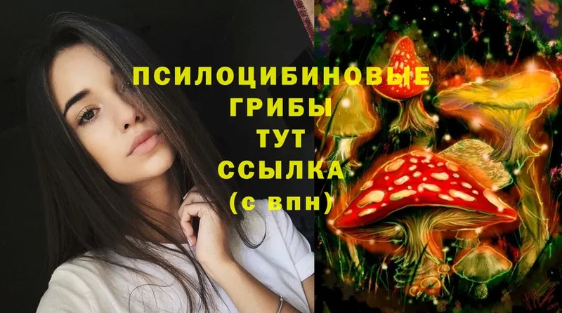 Галлюциногенные грибы MAGIC MUSHROOMS  Куровское 